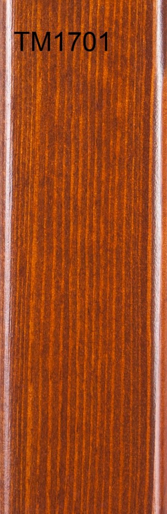 TM1701
